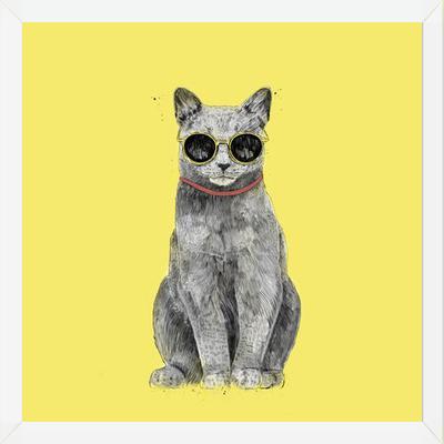 Cuadro Summer Cat