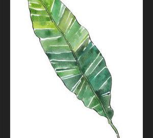 Cuadro HOJA DE PLATANO