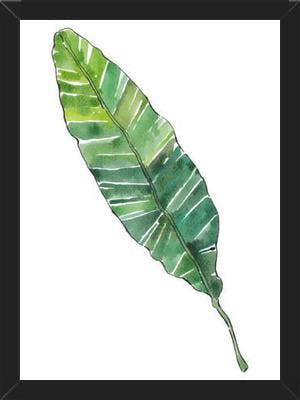 Cuadro HOJA DE PLATANO