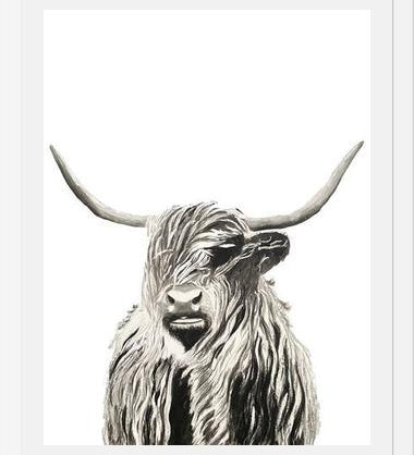 Cuadro Highland cow watercolor