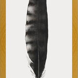 Cuadro Pluma Acuarela 3