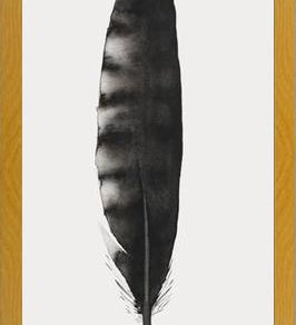 Cuadro Pluma Acuarela 3