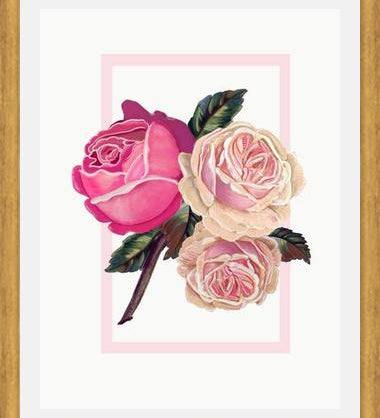 Cuadro Heirloom pink roses