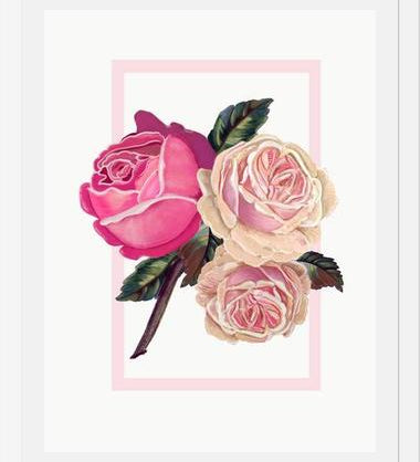 Cuadro Heirloom pink roses