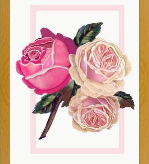 Cuadro Heirloom pink roses