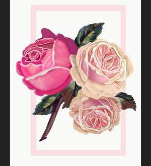 Cuadro Heirloom pink roses