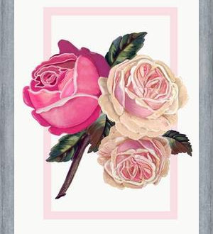 Cuadro Heirloom pink roses