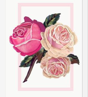 Cuadro Heirloom pink roses