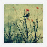 Cuadro Autumn Bird