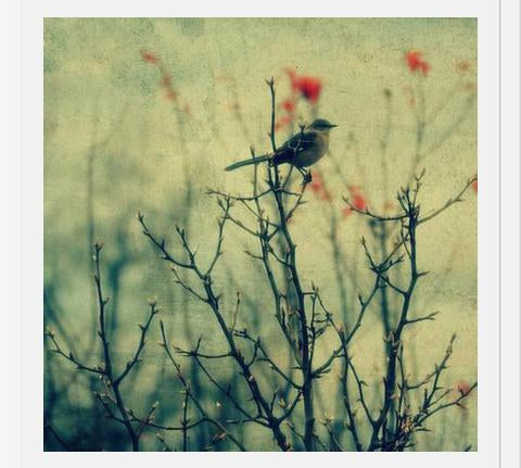 Cuadro Autumn Bird
