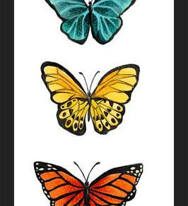 Cuadro Mariposas <3