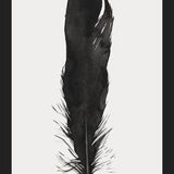 Cuadro Pluma Acuarela 1