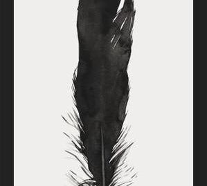 Cuadro Pluma Acuarela 1