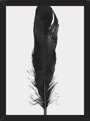 Cuadro Pluma Acuarela 1