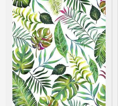 Cuadro Tropical Flora