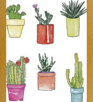 Cuadro CACTUS & PASTEL