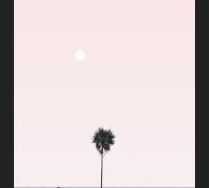 Cuadro La Palmera