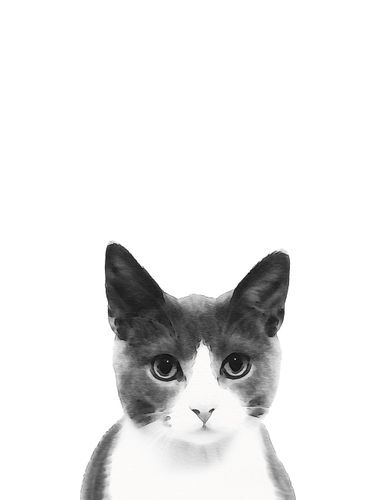Canvas Watercolor Cat