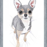 Cuadro Chihuahua