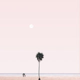 Canvas La Palmera
