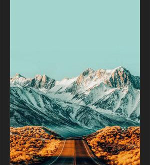 Cuadro The Road Less Traveled