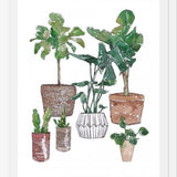 Cuadro Plantas