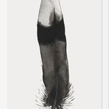Cuadro Pluma Acuarela 2