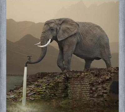 Cuadro Hydrant