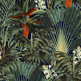 Papel Mural Midnight Forest
