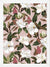 Cuadro Magnolias Pink Pattern