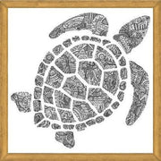 Cuadro Tortuga2