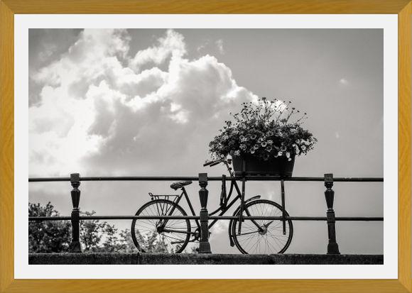 Cuadro Bicicleta y flores en canales Amsterdam