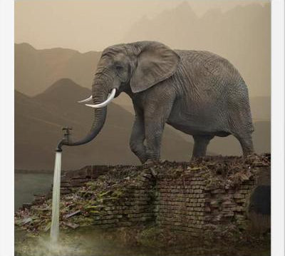 Cuadro Hydrant