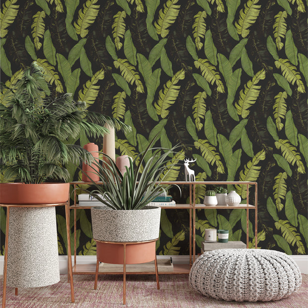 Papel Mural Hand drawn beautiful tropical leaves