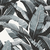 Papel Mural Banana Gris