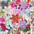 Mantel de Hule LILY AND COLORFUL FLOWERS PATTERN WHITE