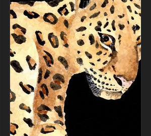 Cuadro Leopardo