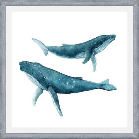 Cuadro Ballenas