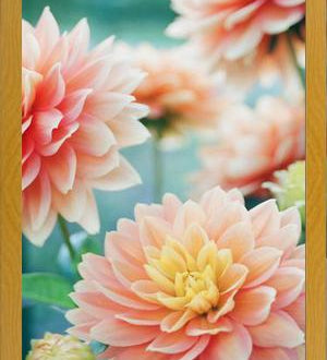 Cuadro Happy Flowers