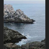 Cuadro PUQUEN II