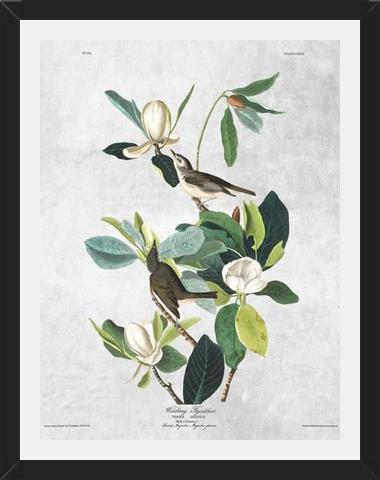 Cuadro Botanical print