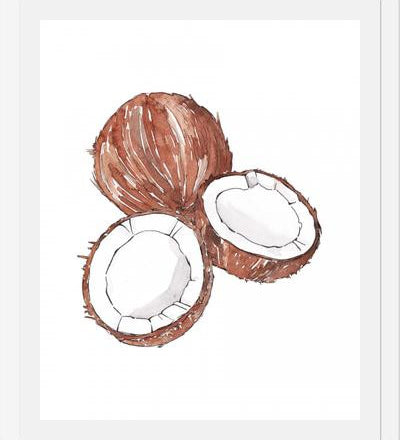 Cuadro COCONUTS