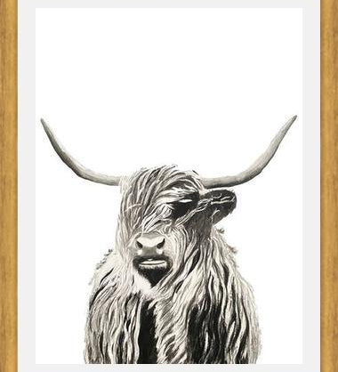 Cuadro Highland cow watercolor