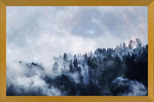 Cuadro las estrellas brillan en el bosque niebloso