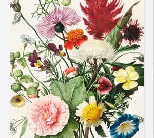 Cuadro Bouquet de flores