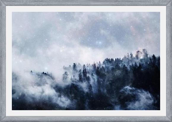 Cuadro las estrellas brillan en el bosque niebloso