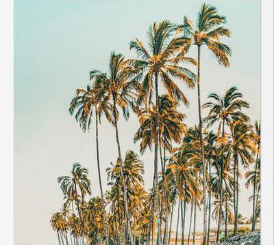 Cuadro Island Life III