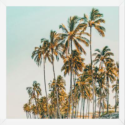 Cuadro Island Life III