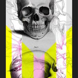 Cuadro Skull in Summer
