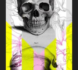 Cuadro Skull in Summer